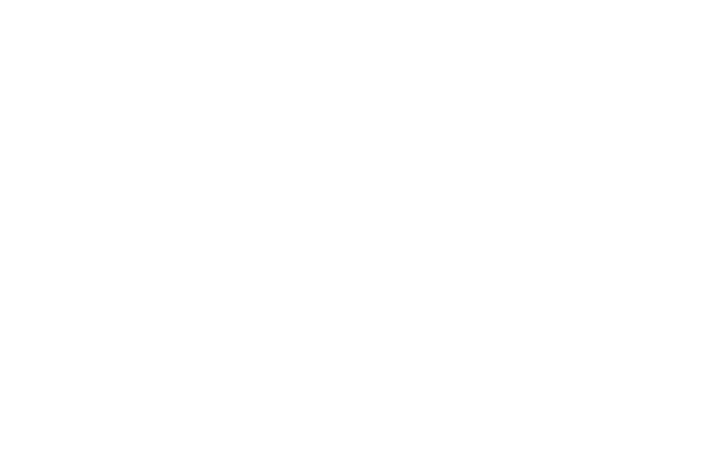 Logo DDSis